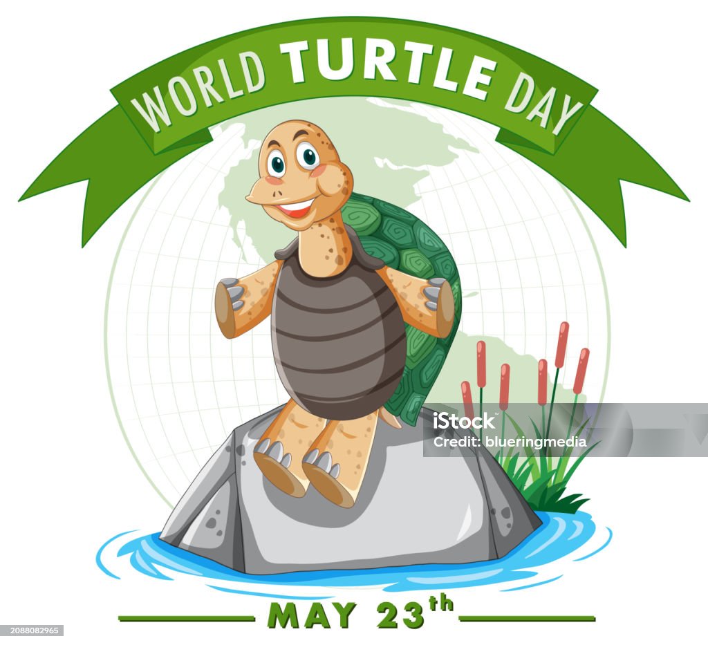 Cheerful Turtle Cheerful Turtle Celebrating World Turtle Day On A Rock Stock ...