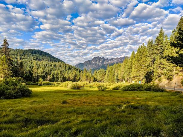 Sierra County - July stock photo