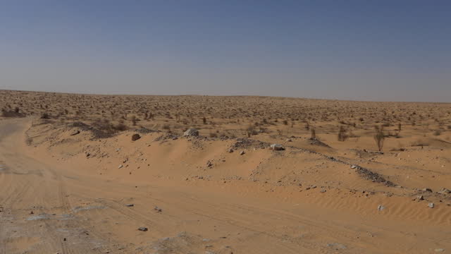 Vast expanse of sandy Jebil desert in Tunisia, clear skies