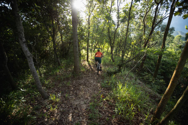 istock Mountain biking in summer forest 2088154188