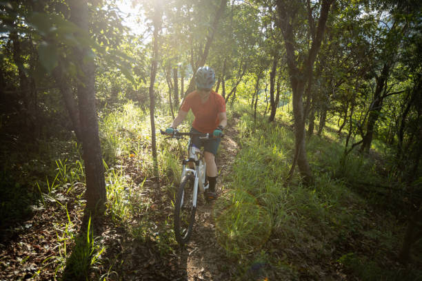 istock Mountain biking in summer forest 2088155722