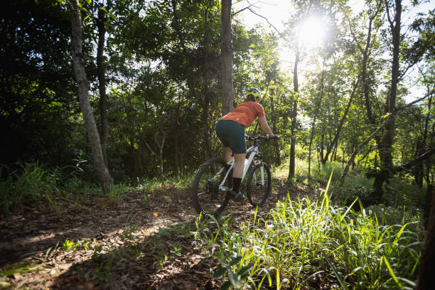 istock Mountain biking in summer forest 2088156238