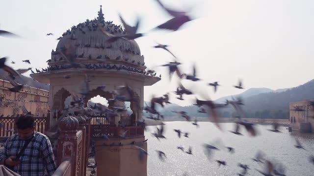 Pigeons sitting and flying out from a dome-shaped pavilion next to the lake