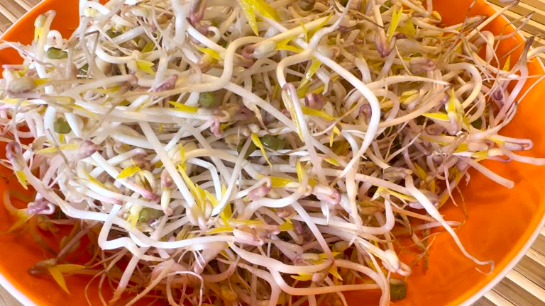 Mound of sprouted mung beans with small roots for eating an orange bowl on bamboo background. Concept of diet, vegetarianism, vegan, healthy products and proper nutrition. Close up