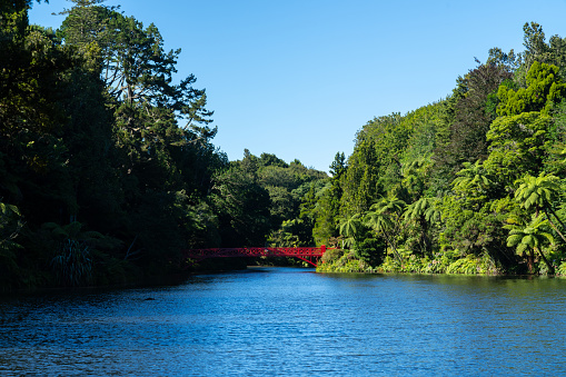 Scenic lake and native bush landscape in Pukekura Park, New Plymouth.