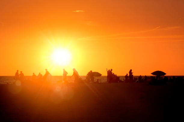 Silhouetted people on beach during sunset in Siesta Key, Sarasota, Florida