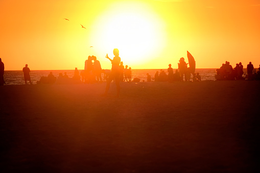 Silhouetted people on beach during sunset in Siesta Key, Sarasota, Florida