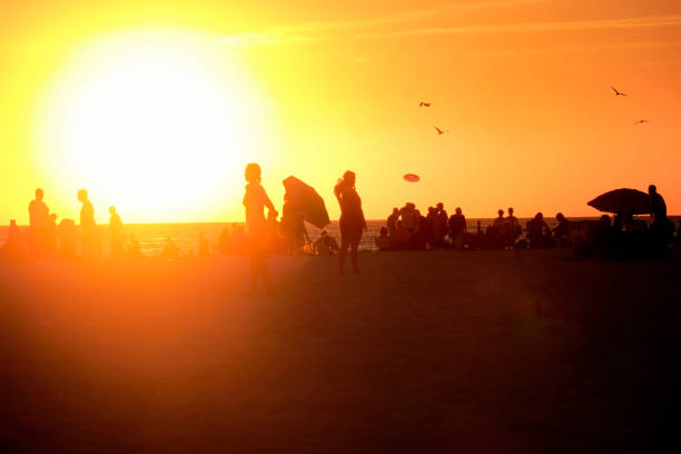 Silhouetted people on beach during sunset in Siesta Key, Sarasota, Florida