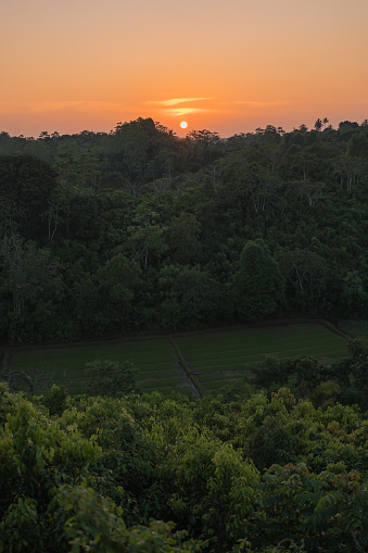 Elevated view of sunset over tropical rainforest