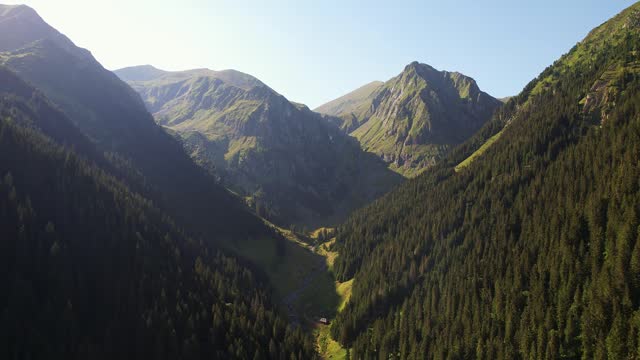 Sunlight bathing the Valea Rea in the Fagaras Mountains, lush greenery, tranquil morning