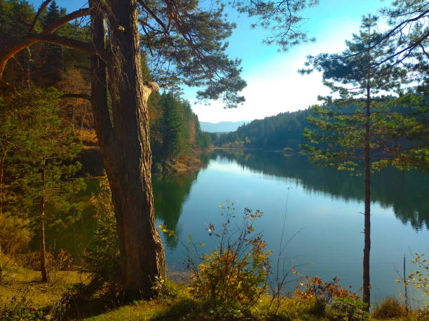 Bozcaarmut Lake is in Bilecik, Turkey.