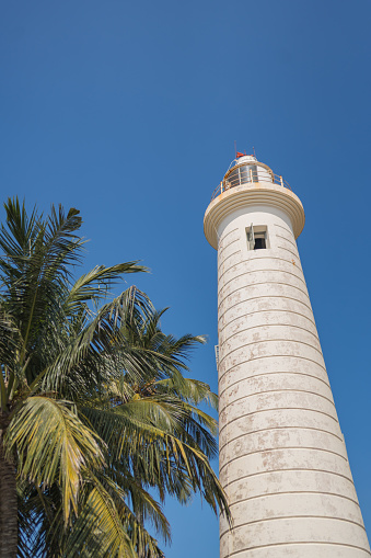 View up to lighthouse and palm tree, Galle Fort Lighthouse