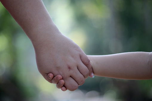 Asian woman holding hands with young boy at nature reserve forest