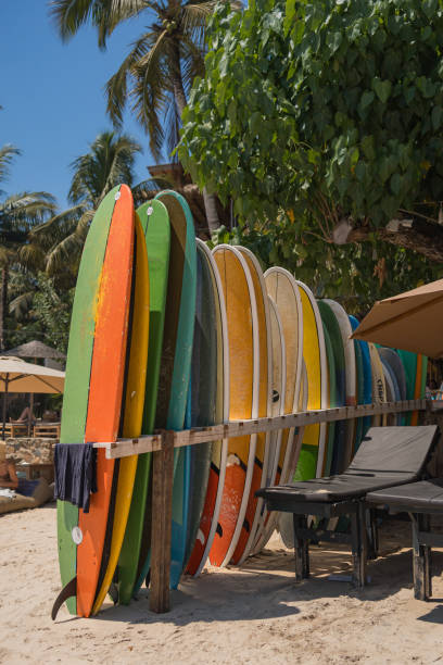 istock Row of surfboards in a rack 2088229634