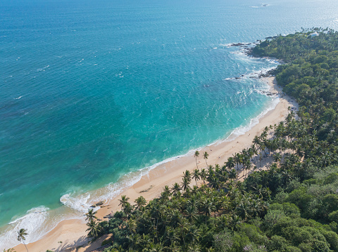Aerial view of sea, beach and jungle
