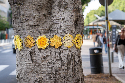 Tel Aviv, Israel - March 15, 2024. Knitted woolen flowers on a tree trunk on the Rothschild boulevard in Tel Aviv as reminder of the hostages kidnapped by Hamas on October 7, 2023. Bring Them Home action