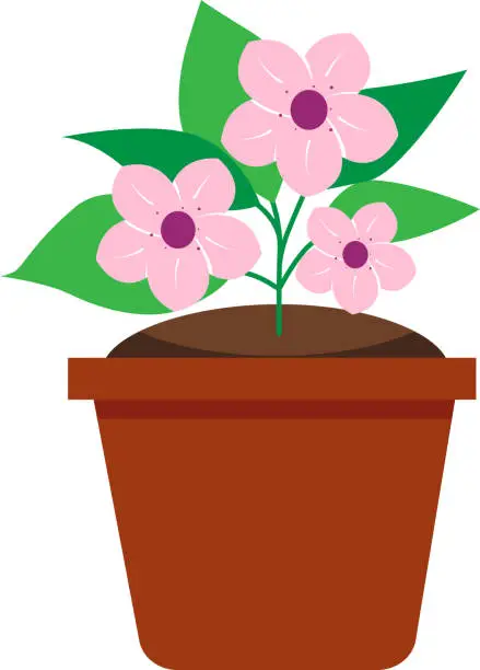 Vector illustration of А pink flower in a pot. Transparent background. Vector illustration