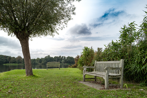 Empty wooden park benches seen at the edge of a large freshwater lake used for private boat hire in England. A solitary tree helps to create a balance image for the viewer.