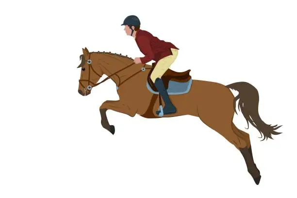 Vector illustration of vector illustration of a jockey on a horse in a high jump. The theme of equestrian sports, training and animal husbandry. Isolated on a white background