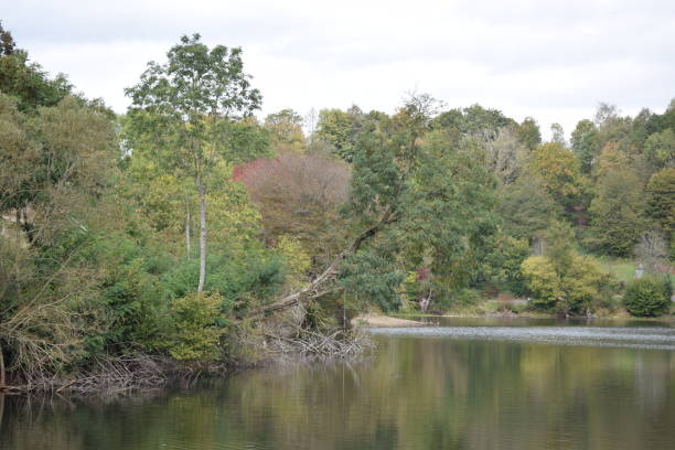 istock lake shore in autumn 2088377974
