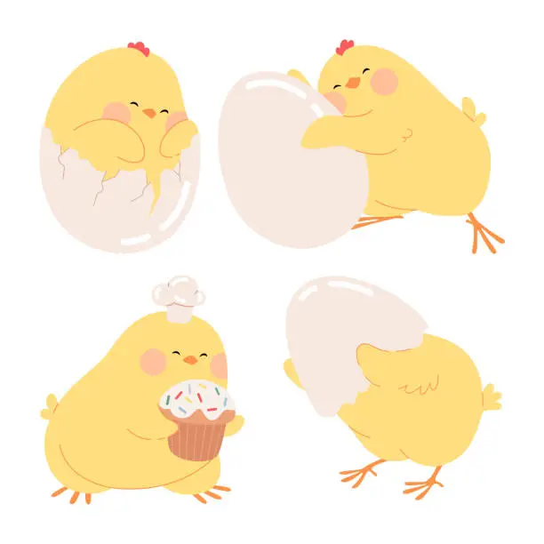 Vector illustration of Cute cartoon chicken set. Easter yellow chicks hatched from eggs. Funny baby farm bird characters. Vector illustration isolated on a white background for Easter cards, banners, and stickers.