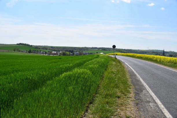 istock country road between green and yellow fields 2088394002