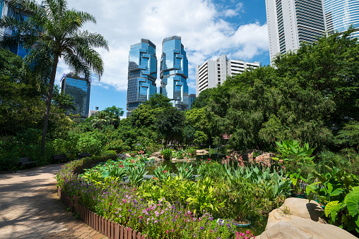 A bustling city park in Hong Kong, filled with lush trees and plants, as people stroll under a beautiful sky with towering skyscrapers in the background. A picturesque scene of Hong Kong Park, showcasing lush greenery, tranquil ponds, and iconic architecture