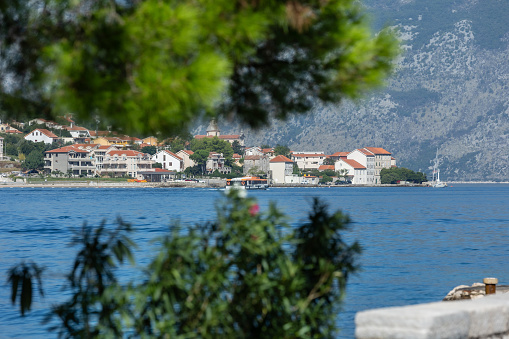 Adriatic town by the sea, view through pine tree branches in Montenegro, Kotor Bay