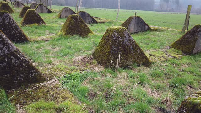 Moss-covered historical concrete tank barriers at the Westwall near Aachen, border security, World War II