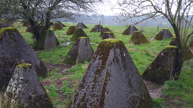 Moss-covered historical concrete tank barriers at the Westwall near Aachen, border security, World War II