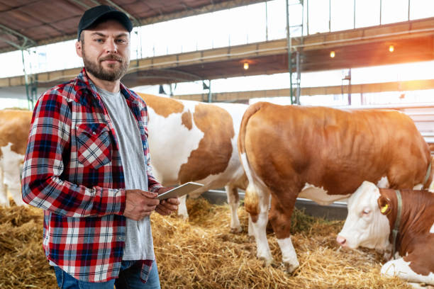 istock Livestock farm and farmer with digital tablet. 2088399545