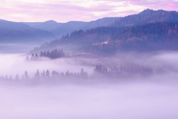 Landscape in the morning. There is fog in the valley. View of the Tatra Mountains from the Pieniny Mountain Range Slovakia.