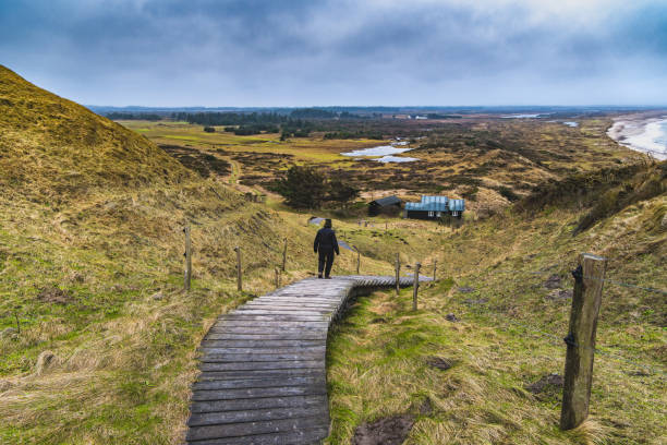 Group of walkers hiking in dunes of nature reserve of West Frisian island Vlieland, Friesland, Netherlands