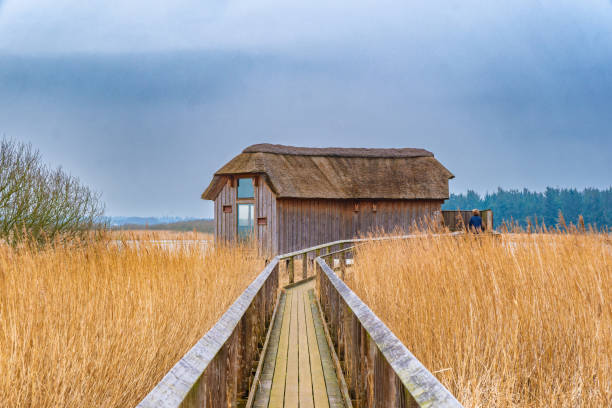 Nature 2000  bird reservation Han Vejle in Thy., Denmark