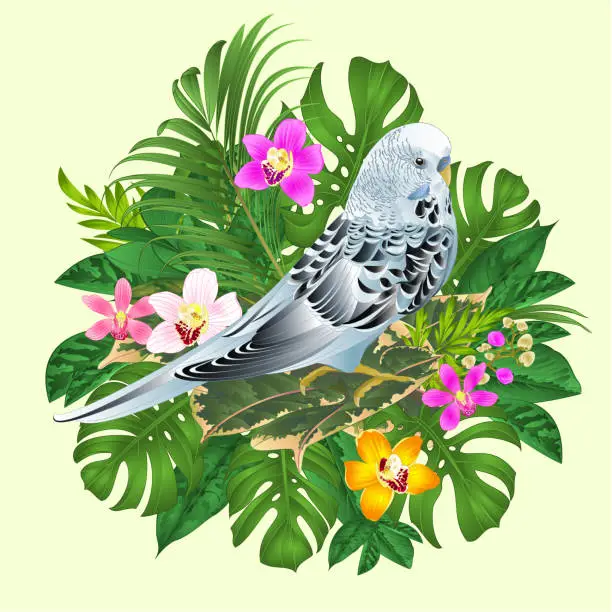 Vector illustration of Budgerigar blue  pets parakeet  on a bouquet with tropical flowers yellow orchids cymbidium  palm,philodendron,ficus   nature  background watercolor vintage vector illustration editable hand draw