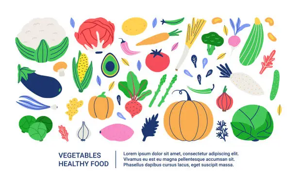 Vector illustration of Healthy graphic banner with vegetables