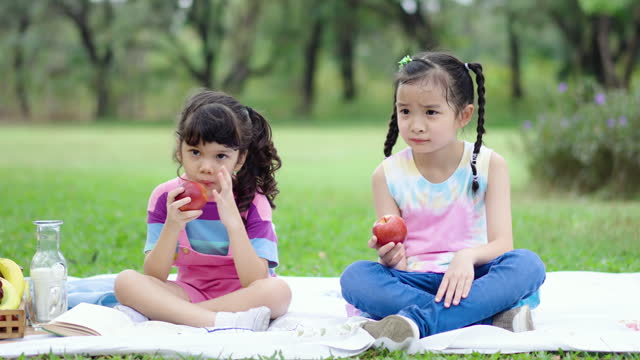 Portrait of two Little Asian girl sitting in a long green grass field enjoying and bite eat an apples a summer holiday, healthy fruit for children