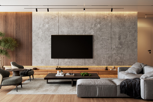 Interior of a luxurious living room with television set.