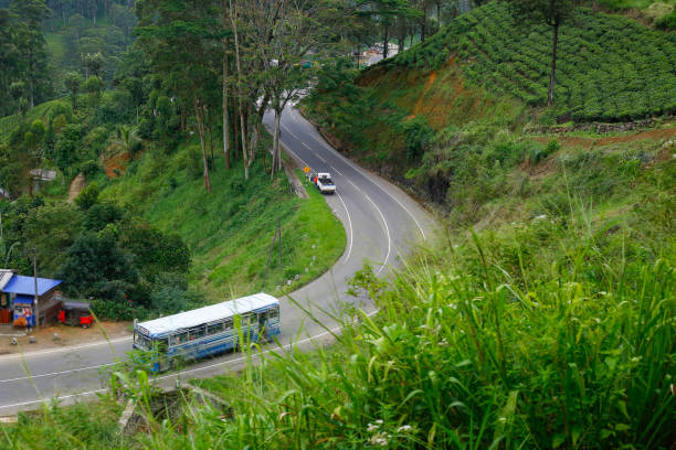 istock A beautiful Road found amidst green meadows and tea plantations - Hatton 2088650661
