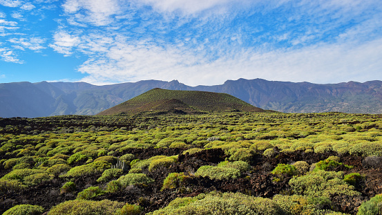 Volcano cone and green vegetation landscape at Badlands or Malpais de Guimar special nature reserve, Tenerife, Canary Islands, Spain, South Europe