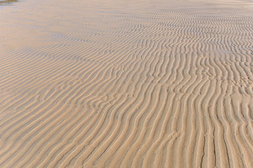 Abstract ripple pattern in wet sandy beach at low tide