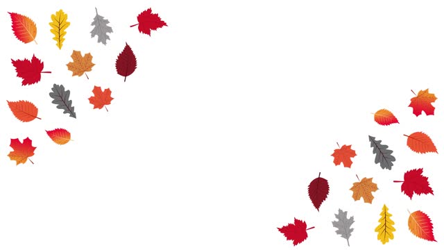 Multi Colored Autumn Leaf Corners Border Animated Video Decorative.