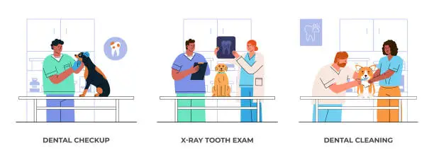 Vector illustration of Dental checkup Dog concept set illustration