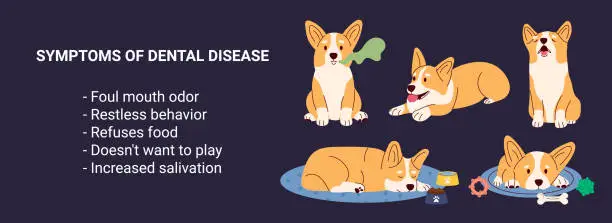 Vector illustration of Banner infographic symptoms of dental problems Dog