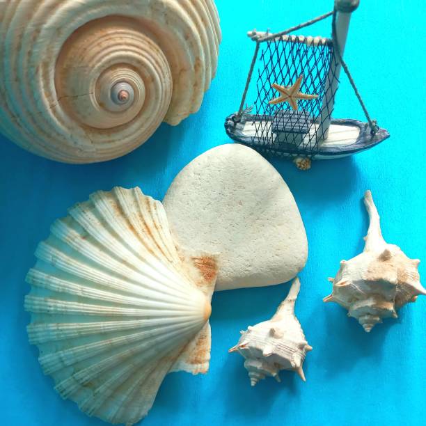 istock Summer sea banner 2088813935