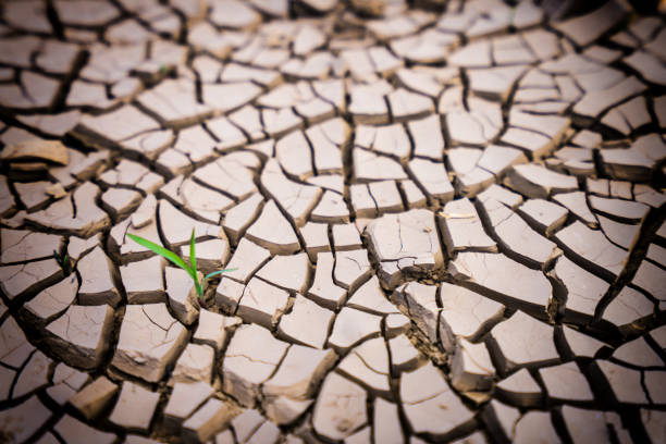 Megadrought, impact of meteorological, agricultural, hydrological and socieconomic drought. Hydrologist on fieldwork in drought region