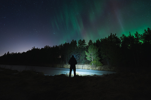 Night scene, nature of Estonia. Silhouette of a man with a flashlight in a dark forest with a starry sky and northern lights.High quality photo