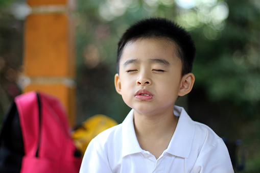An Asian young boy is enjoying outdoor picnic eating joyfully