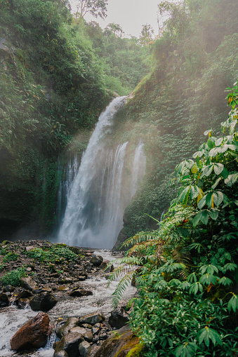 Awe-inspiring tropical Sendang Gile waterfall in the jungles of Lombok island