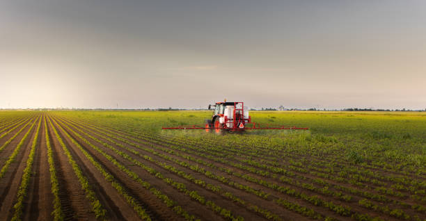 istock Tractor spraying soybean crops field 2088916731